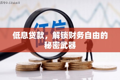 芦洲低息贷款，解锁财务自由的秘密武器