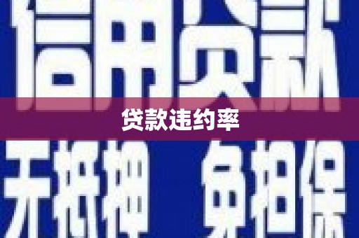 芦洲贷款违约率