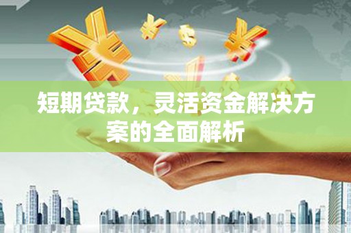 芦洲短期贷款，灵活资金解决方案的全面解析