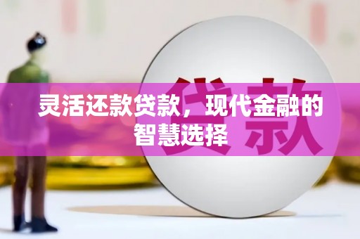 芦洲灵活还款贷款，现代金融的智慧选择
