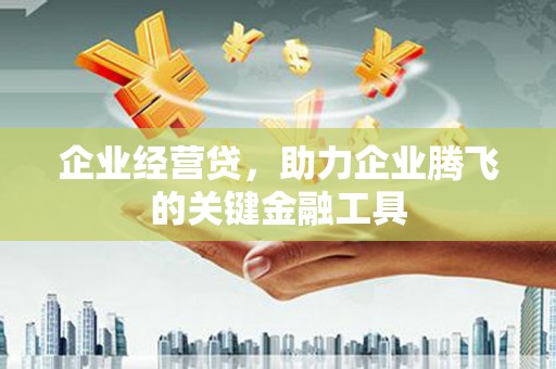 芦洲企业经营贷，助力企业腾飞的关键金融工具