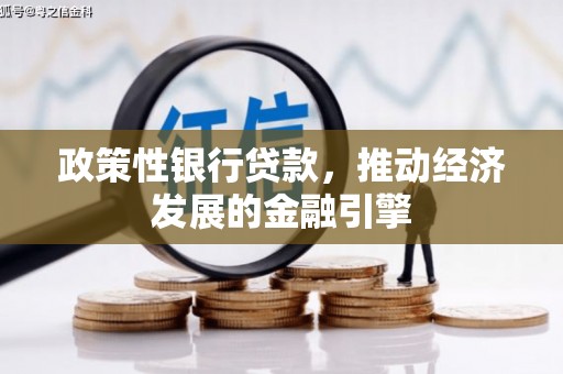 芦洲政策性银行贷款，推动经济发展的金融引擎