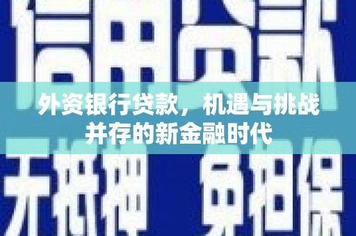 芦洲外资银行贷款，机遇与挑战并存的新金融时代