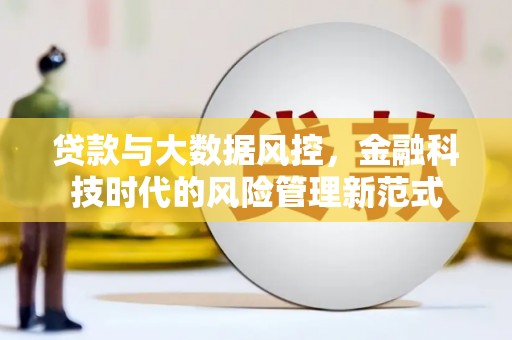 芦洲贷款与大数据风控，金融科技时代的风险管理新范式