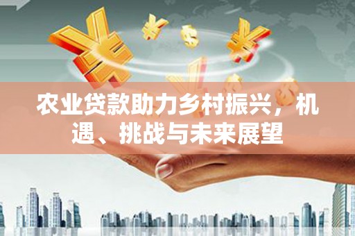 芦洲农业贷款助力乡村振兴，机遇、挑战与未来展望