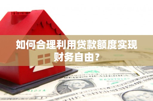 芦洲如何合理利用贷款额度实现财务自由？