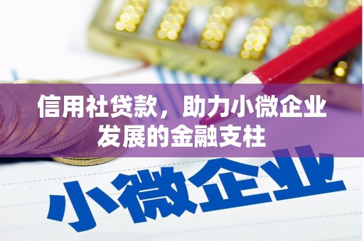 芦洲信用社贷款，助力小微企业发展的金融支柱