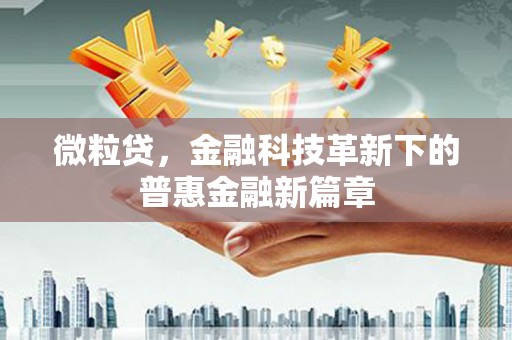 芦洲微粒贷，金融科技革新下的普惠金融新篇章