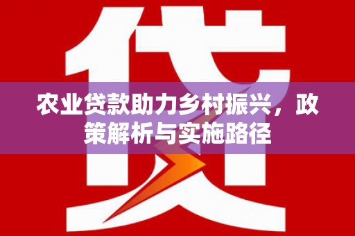 芦洲农业贷款助力乡村振兴，政策解析与实施路径