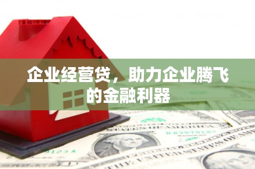 芦洲企业经营贷，助力企业腾飞的金融利器