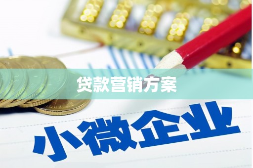芦洲贷款营销方案