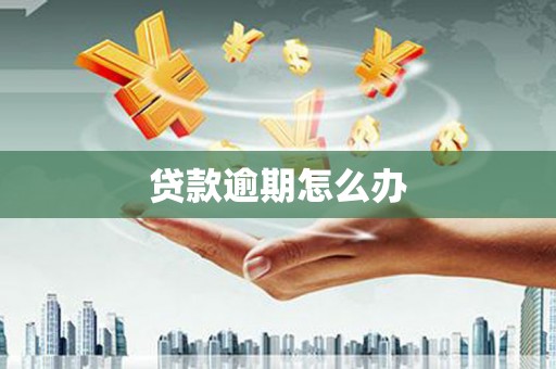 芦洲贷款逾期怎么办