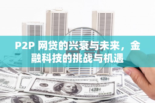 芦洲P2P 网贷的兴衰与未来，金融科技的挑战与机遇