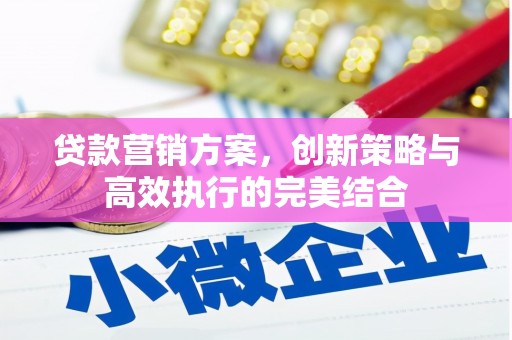 芦洲贷款营销方案，创新策略与高效执行的完美结合