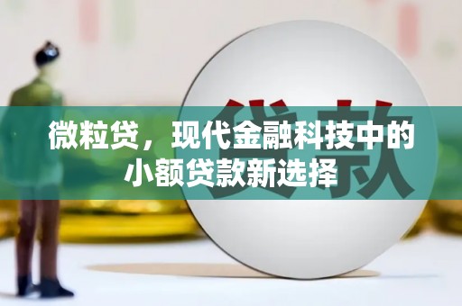 芦洲微粒贷，现代金融科技中的小额贷款新选择
