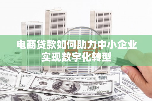 芦洲电商贷款如何助力中小企业实现数字化转型