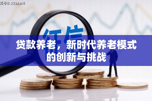 芦洲贷款养老，新时代养老模式的创新与挑战