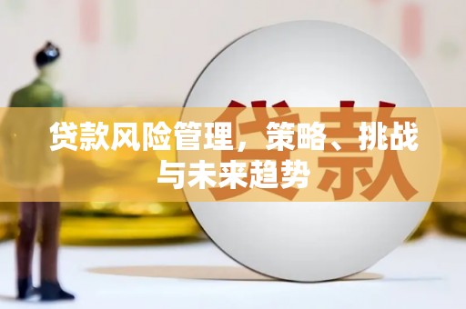 芦洲贷款风险管理，策略、挑战与未来趋势