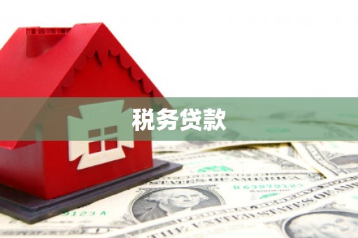 芦洲税务贷款
