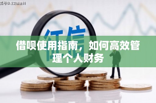 芦洲借呗使用指南，如何高效管理个人财务