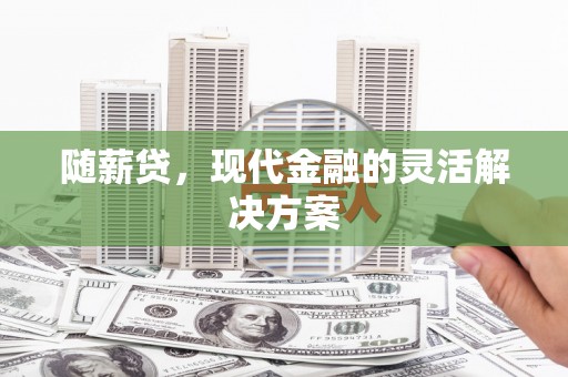 芦洲随薪贷，现代金融的灵活解决方案