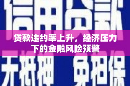 芦洲贷款违约率上升，经济压力下的金融风险预警
