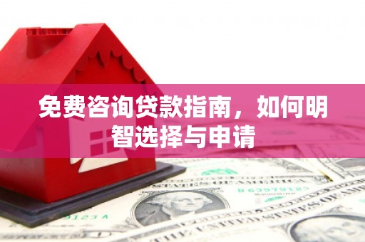 芦洲免费咨询贷款指南，如何明智选择与申请