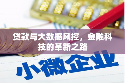 芦洲贷款与大数据风控，金融科技的革新之路