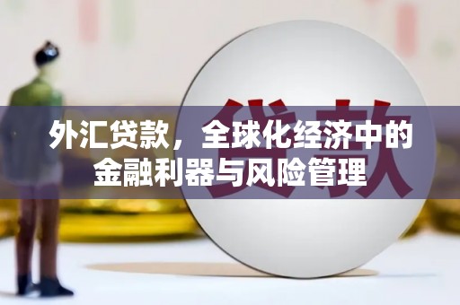芦洲外汇贷款，全球化经济中的金融利器与风险管理