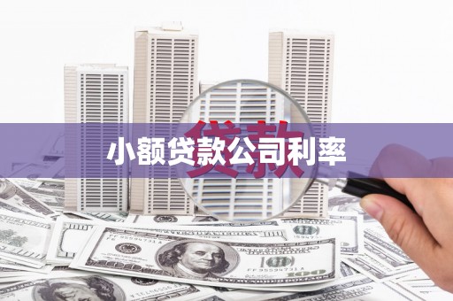 芦洲小额贷款公司利率