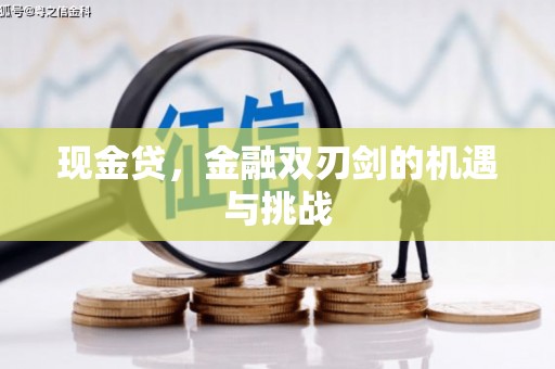芦洲现金贷，金融双刃剑的机遇与挑战