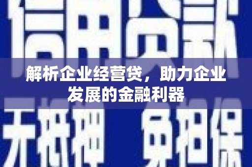 芦洲解析企业经营贷，助力企业发展的金融利器