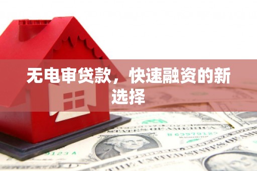 芦洲无电审贷款，快速融资的新选择