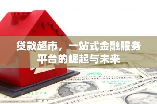 芦洲贷款超市，一站式金融服务平台的崛起与未来