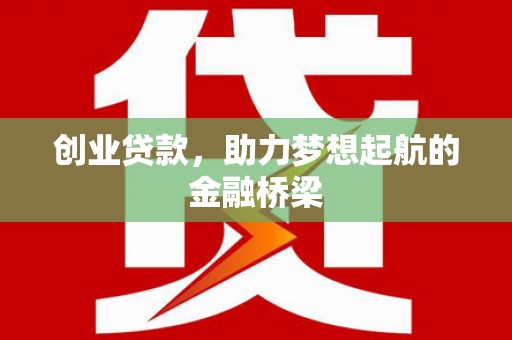 芦洲创业贷款，助力梦想起航的金融桥梁
