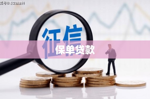 芦洲保单贷款