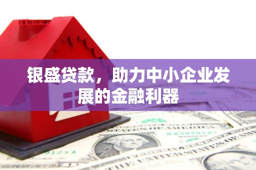 芦洲银盛贷款，助力中小企业发展的金融利器