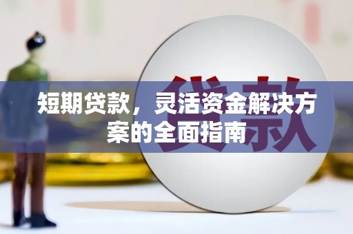 芦洲短期贷款，灵活资金解决方案的全面指南