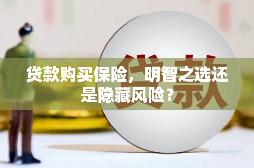 芦洲贷款购买保险，明智之选还是隐藏风险？