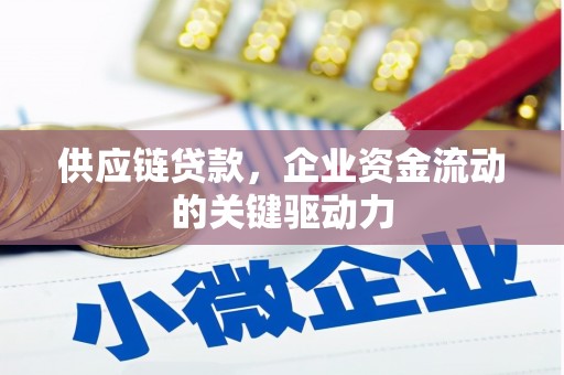 芦洲供应链贷款，企业资金流动的关键驱动力