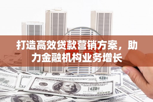 芦洲打造高效贷款营销方案，助力金融机构业务增长