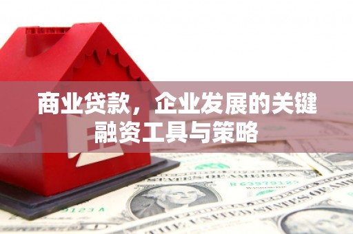 芦洲商业贷款，企业发展的关键融资工具与策略