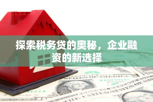 芦洲探索税务贷的奥秘，企业融资的新选择
