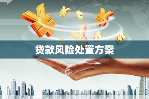 芦洲贷款风险处置方案