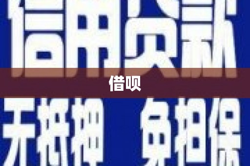 芦洲借呗