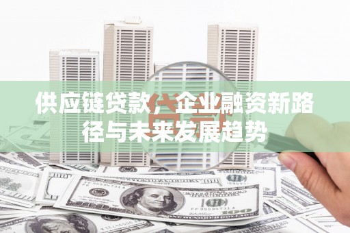 芦洲供应链贷款，企业融资新路径与未来发展趋势