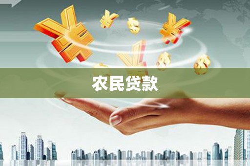 芦洲农民贷款