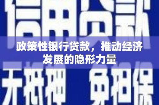 芦洲政策性银行贷款，推动经济发展的隐形力量
