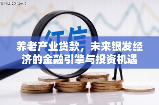 芦洲养老产业贷款，未来银发经济的金融引擎与投资机遇