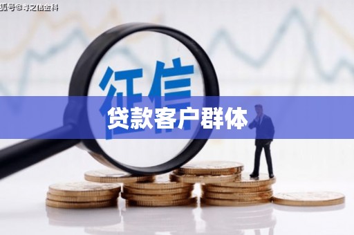 芦洲贷款客户群体